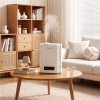 Picture of Pisces Direct CoolMist Humidifier